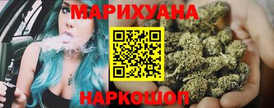 сатива Краснознаменск
