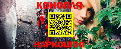 хмурый Краснодар