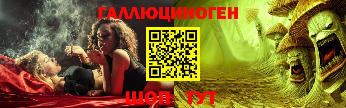 Галлюциногенные грибы Psilocybe Волжск